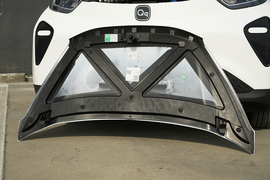 2026款奇瑞新能源小蚂蚁 271km 真爱版