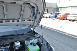 2026款极狐阿尔法S5 650 元境四驱版 390kW