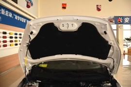 2013款福特嘉年华三厢1.5L手动风尚型