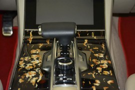 2014款红旗L5 6.0L 帜尊版