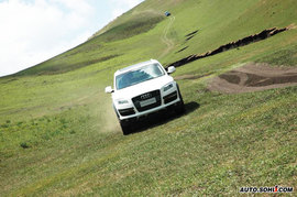 2006款奥迪Q7 4.2quattro