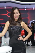 起亚15号车模