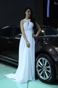 2012第五届中国-东盟（南宁）国际汽车展览会 车模图 