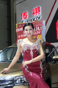 2015华中国际车展车模 