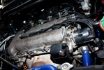 2009���ղ���� ��������ֲ��װ������