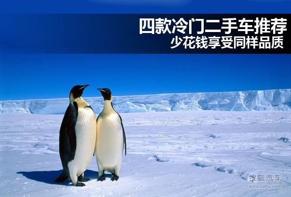四款冷門二手車推薦