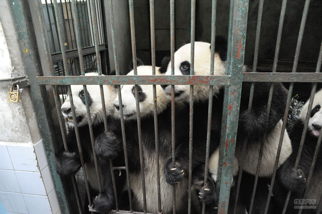 【宝马X之旅-从宜昌到成都(591956)】_新闻活