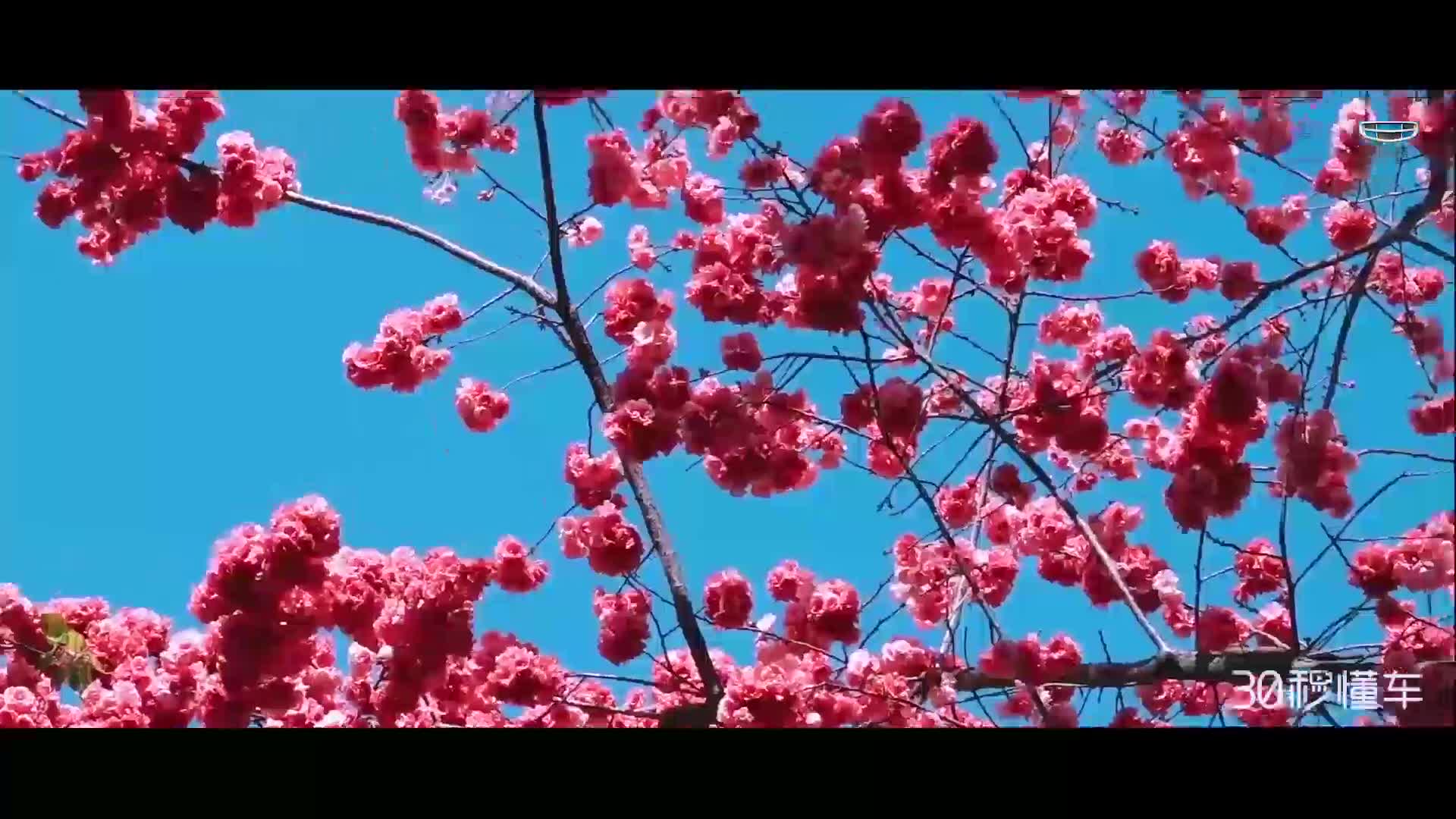 滇池碧海春暖花开 驾吉利帝豪GS游历春城昆明