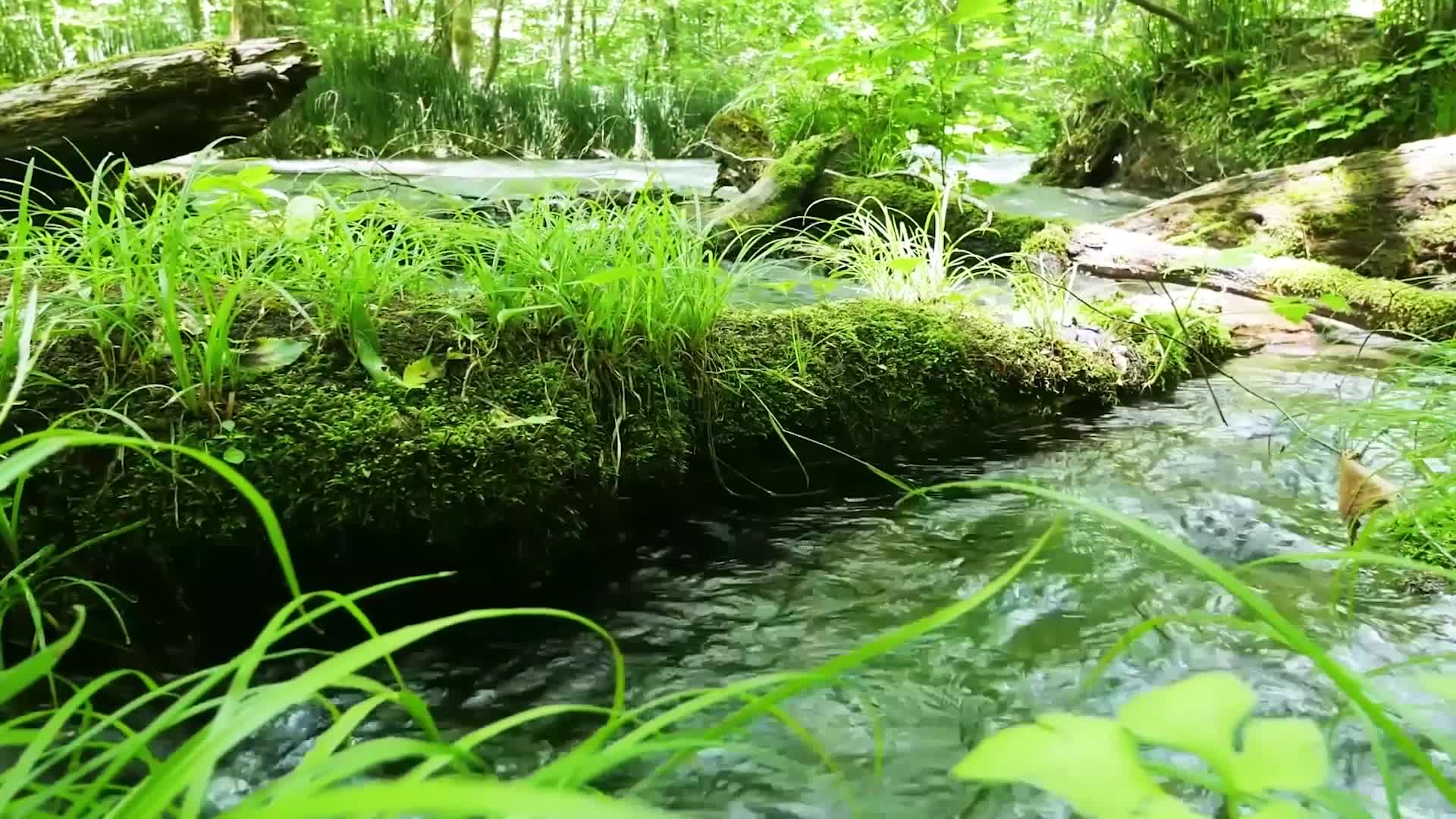 试驾趣哪儿：MINI COUNTRYMAN洗涤心灵之旅