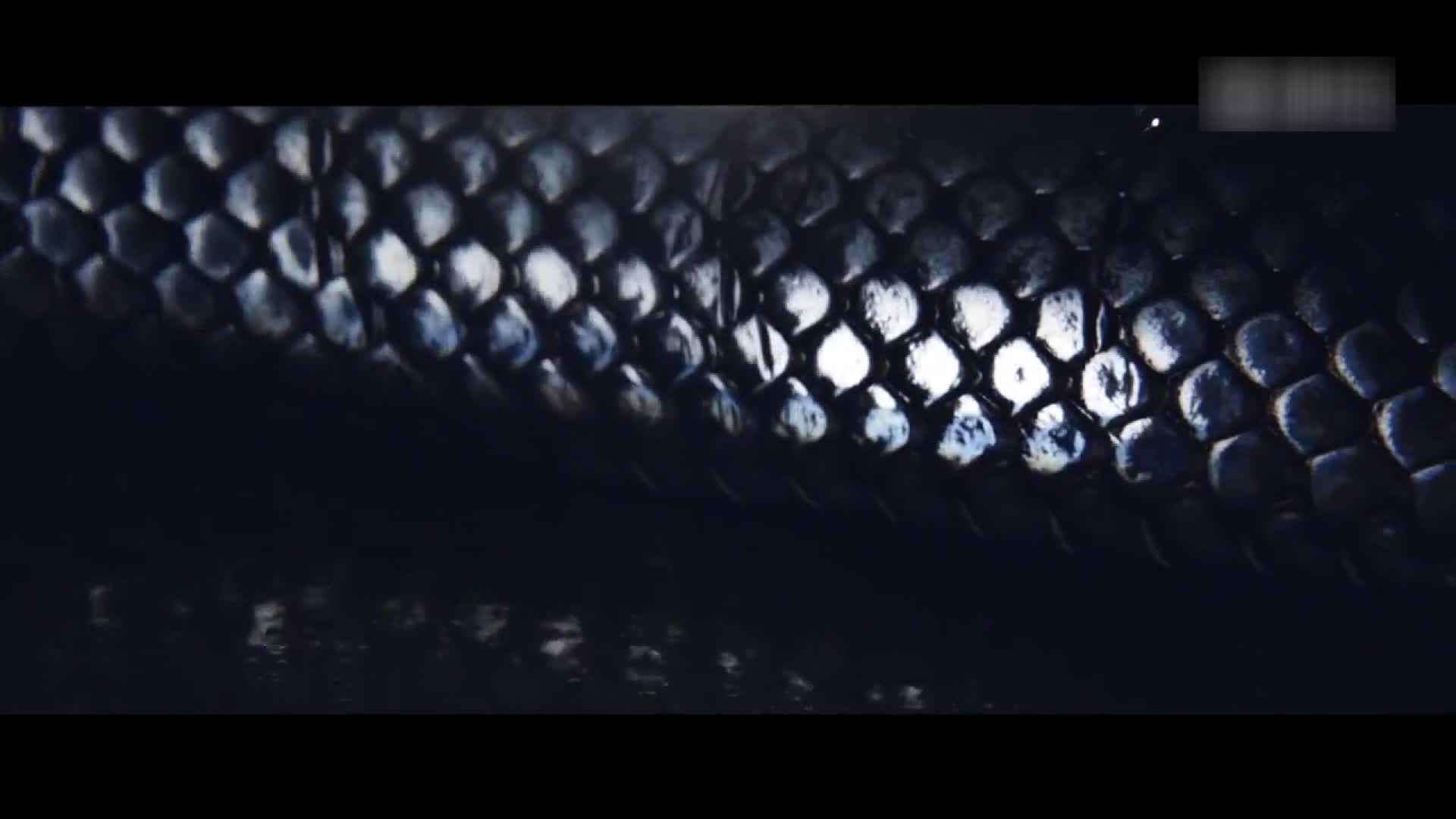 性能最强悍的XJ车型 捷豹XJ R 575 官方宣传片