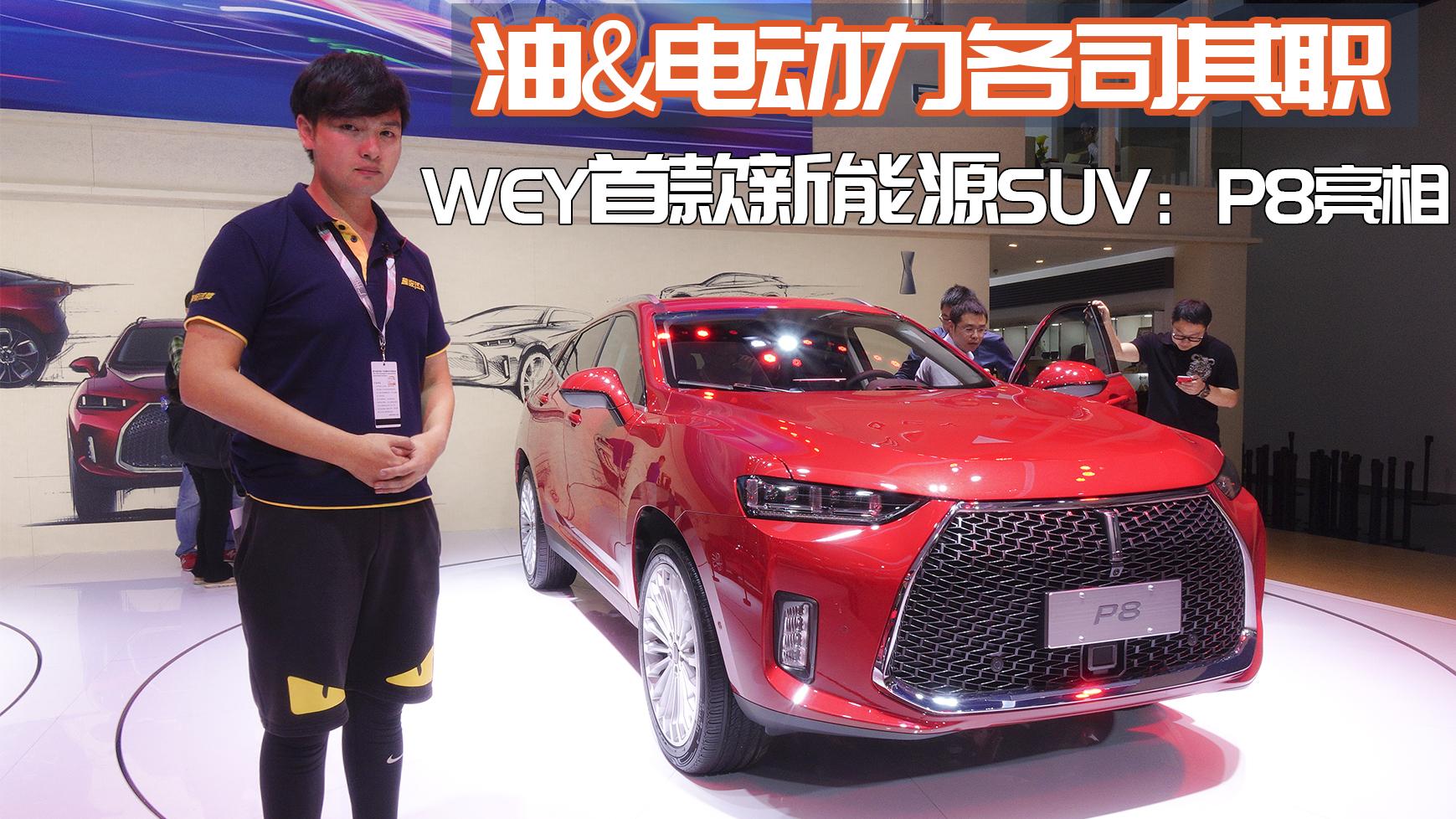 油电各司其职 WEY首款新能源SUV：P8亮相