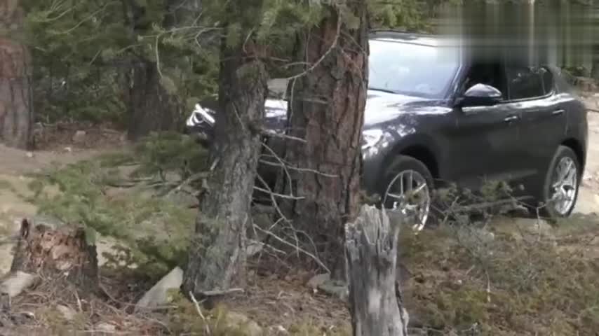 路虎揽胜星脉PK阿尔法罗密欧，遇到一个小坑你就知道差距在哪里