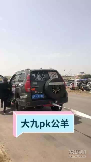 拔河一把定输赢，结果不服还从来，那我指定不能同意，大九拔河公羊