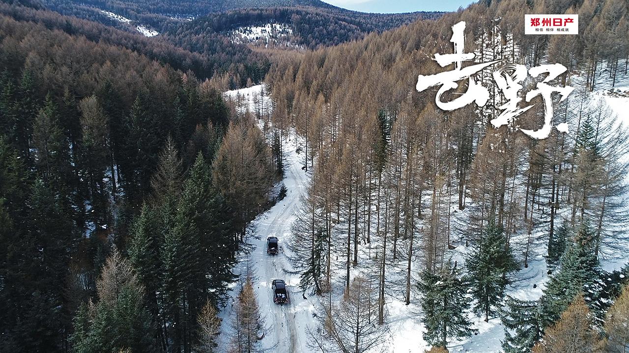 为何全球都推崇日系越野车？10多万纳瓦拉豁雪地不输猛禽