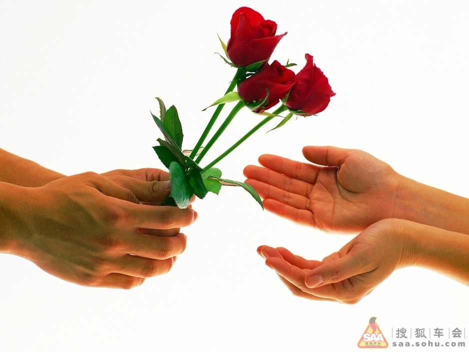 幸福就是找一个温暖的人过一辈子- 搜狐车会