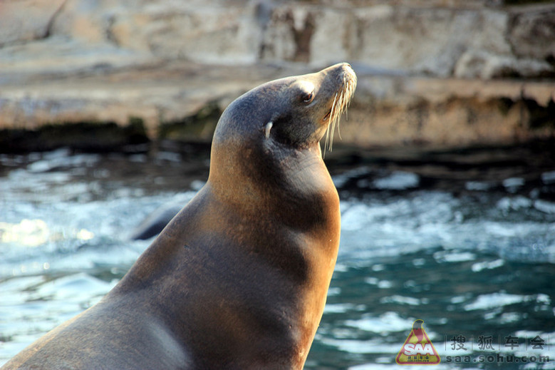 我和老伴经珠海坐船过伶仃洋到香港自由行--游