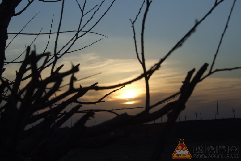 Img3685700_780.JPG
