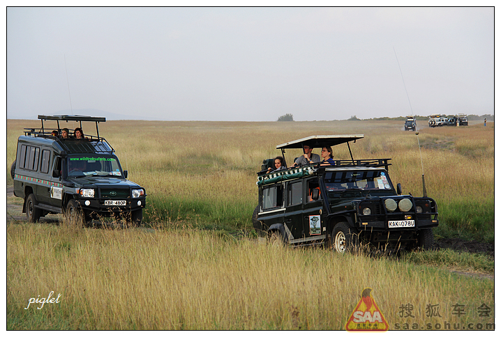 非洲游猎--马赛马拉热气球之旅