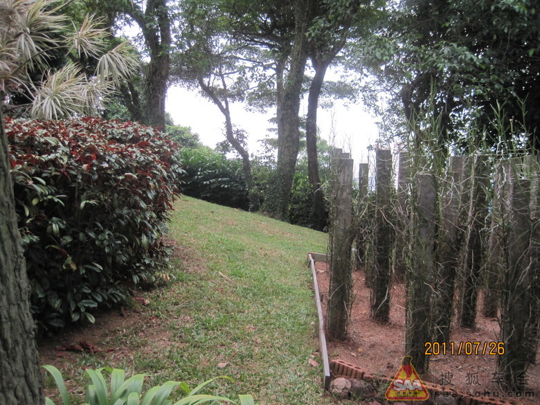 LD的新马泰10日游之五