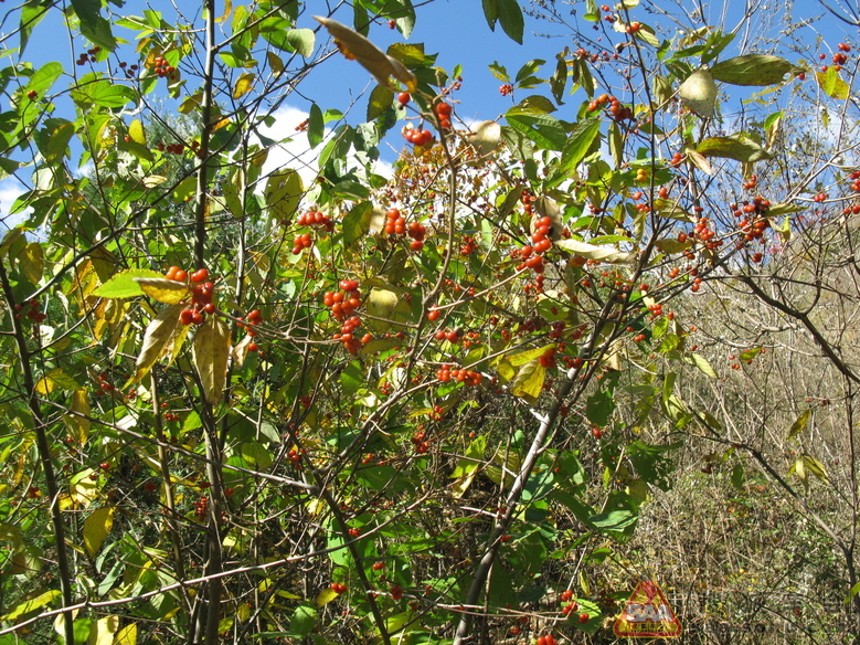 10月16日--密云云龙涧 - 马自达6车友会
