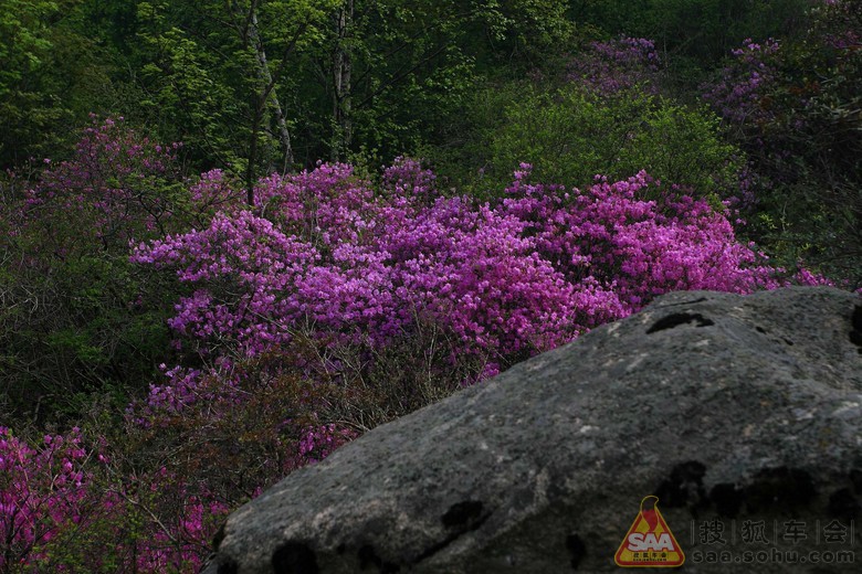 Img7616004_780.jpg