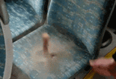 看看公交车的座椅有多脏_乐风-乐友队_搜狐车