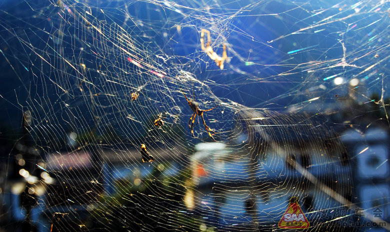 《纵横华夏八万里》图文直击 - 自驾游