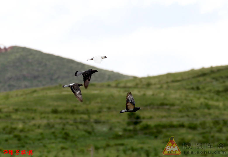 2012年7月21日搜狐焦圈摄影俱乐部报到处 - 搜