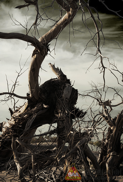 【大西北自驾游记】--内蒙额济纳怪树林_北京