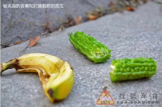 <em>天窗</em>=屠刀?从<em>三岁女童命丧天窗</em>事件聊起_北京