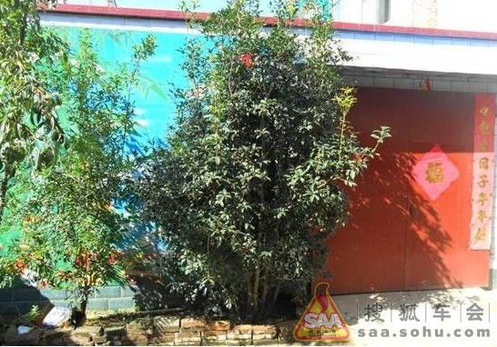 Img2831516_780.jpg