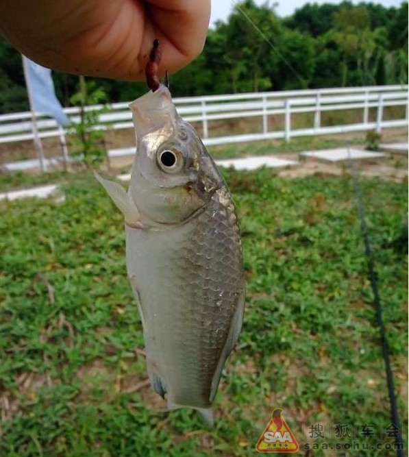 给大家分享几个上海近郊自驾游的好去处 看得
