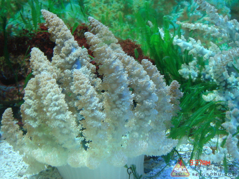 Img4087116_780.jpg