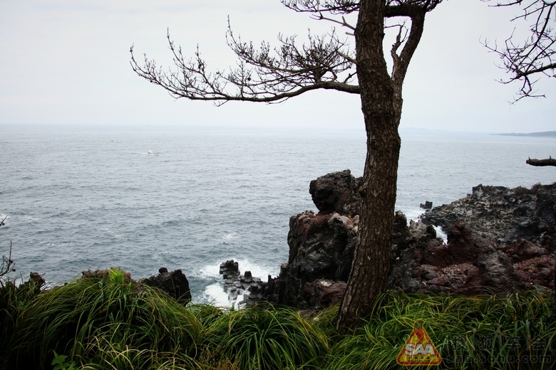 济州岛柱状节理带_迈腾-腾云社