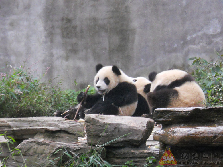 ★且歌且行:国庆节欢乐时光记忆★