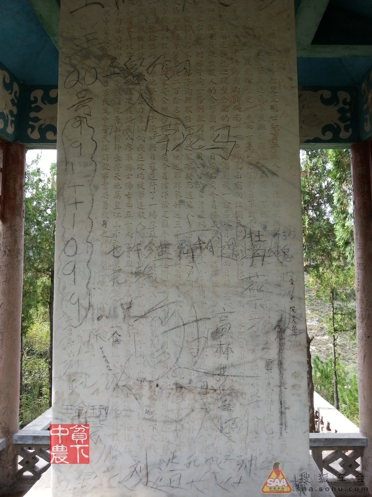 Img8924120_780.jpg