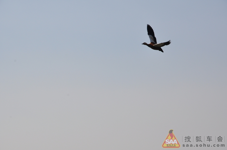 Img5756020_780.JPG