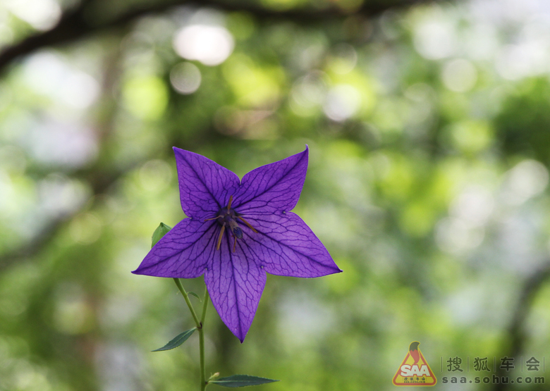 辉县罗姐寨、葫芦坝两日游_安阳车友会