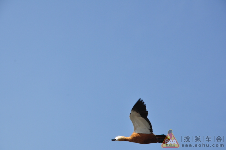 Img5755824_780.JPG