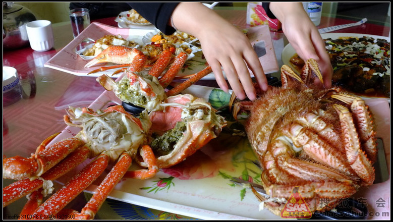 【原创】在珲春品海鲜_东莞车友会