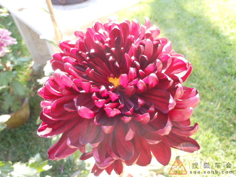 Img8420028_780.jpg