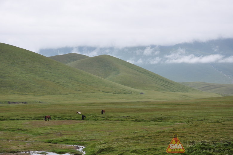 7月去的新疆巴音布鲁克蒙古自治州(又加了几张