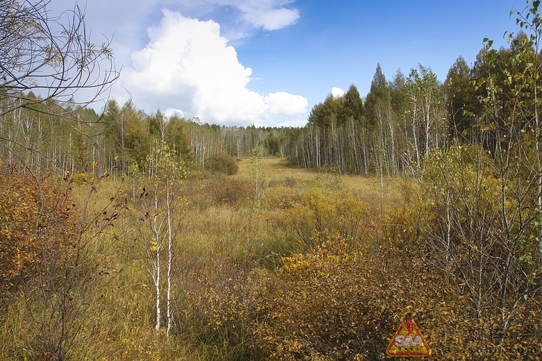 呼伦贝尔4日环线之太平屯 - 临江之月亮泡子-已