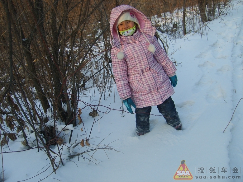 Img3460832_780.JPG