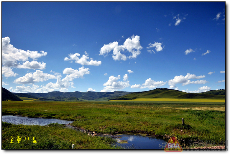 草原旅游最佳季节到了,同学们来草原啊!