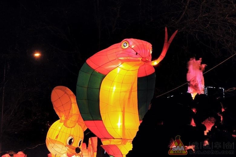 [精彩瞬间]正月里来正月正…正月十五挂红灯…