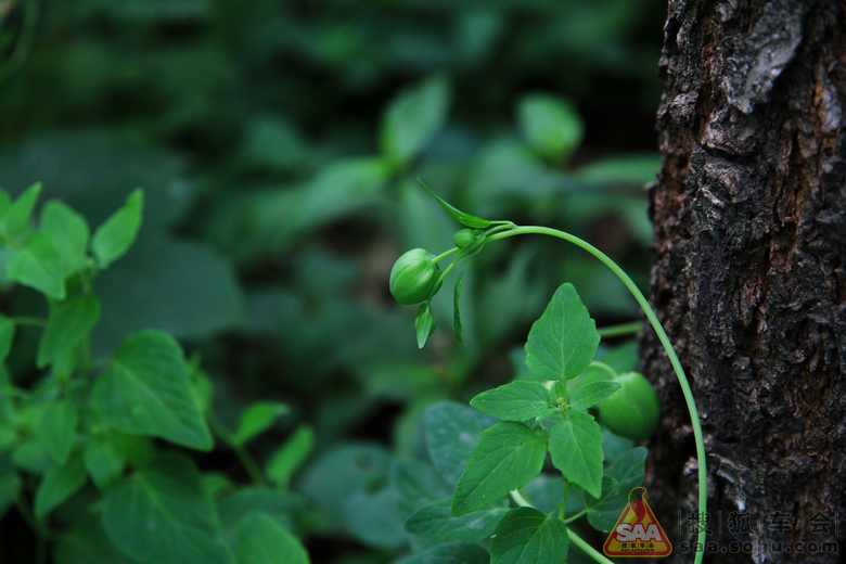 辉县罗姐寨、葫芦坝两日游_安阳车友会