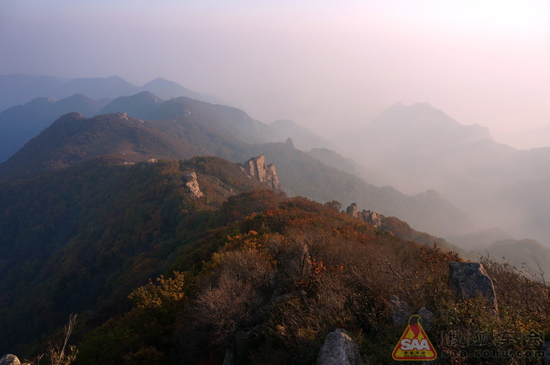 Img8828632_780.jpg