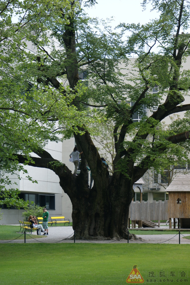 树上休闲 ◆ 瑞士小镇非著名大学一角 - 天语SX