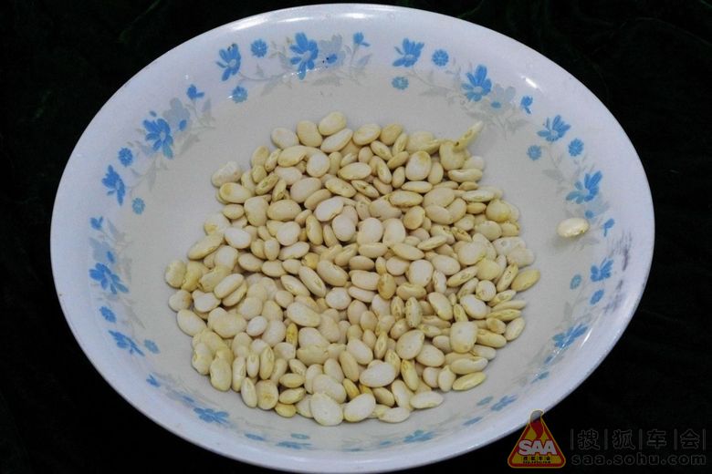 白芸豆 白扁豆展示